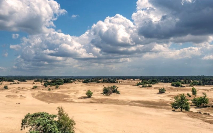 Large area of desert dotted with green shrubs