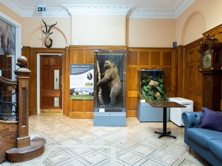 Boris the Bear in the Victorian Hall (2).jpg