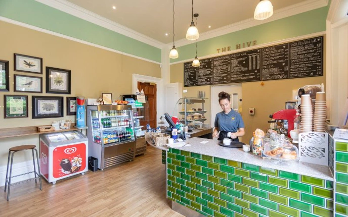 Cafe with green tiled serving counter