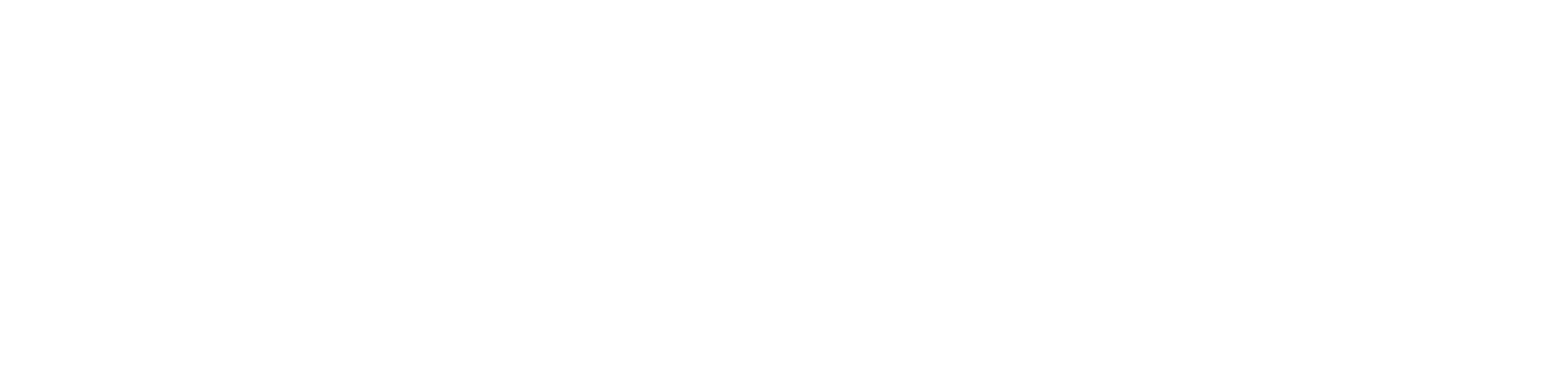 Chelmsford City Council logo